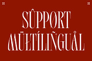 SS Archoblast - Fancy Display Serif, a Serif Font by Typocracy Studio (Thumbnail 14 of 14)