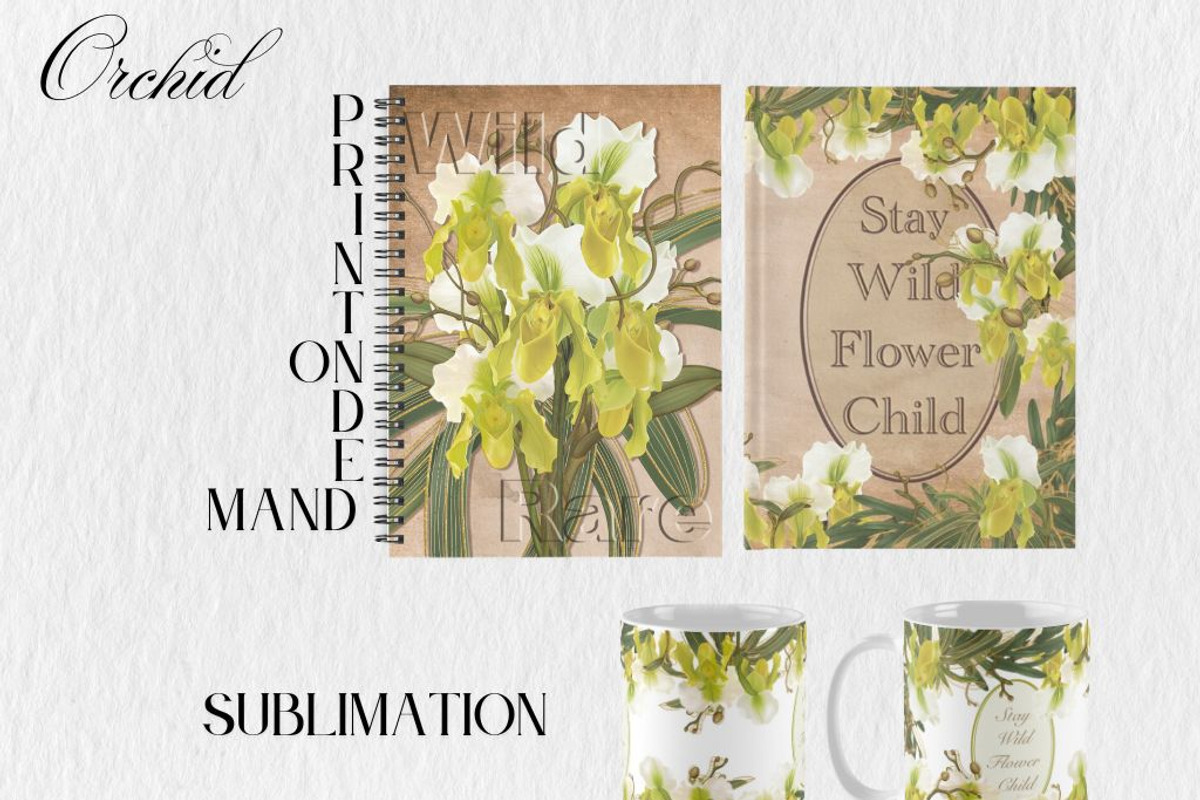 Slipper Orchid Botanical Clipart PNG, a Decorative Illustration by Floraphoria (Photo 10 of 12)