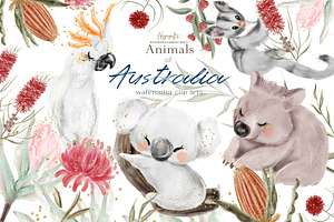 Australian Animals Clipart