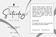 Bellissa Modern Signature Font, a Script Font by Basnistudio (Thumbnail 5 of 10)