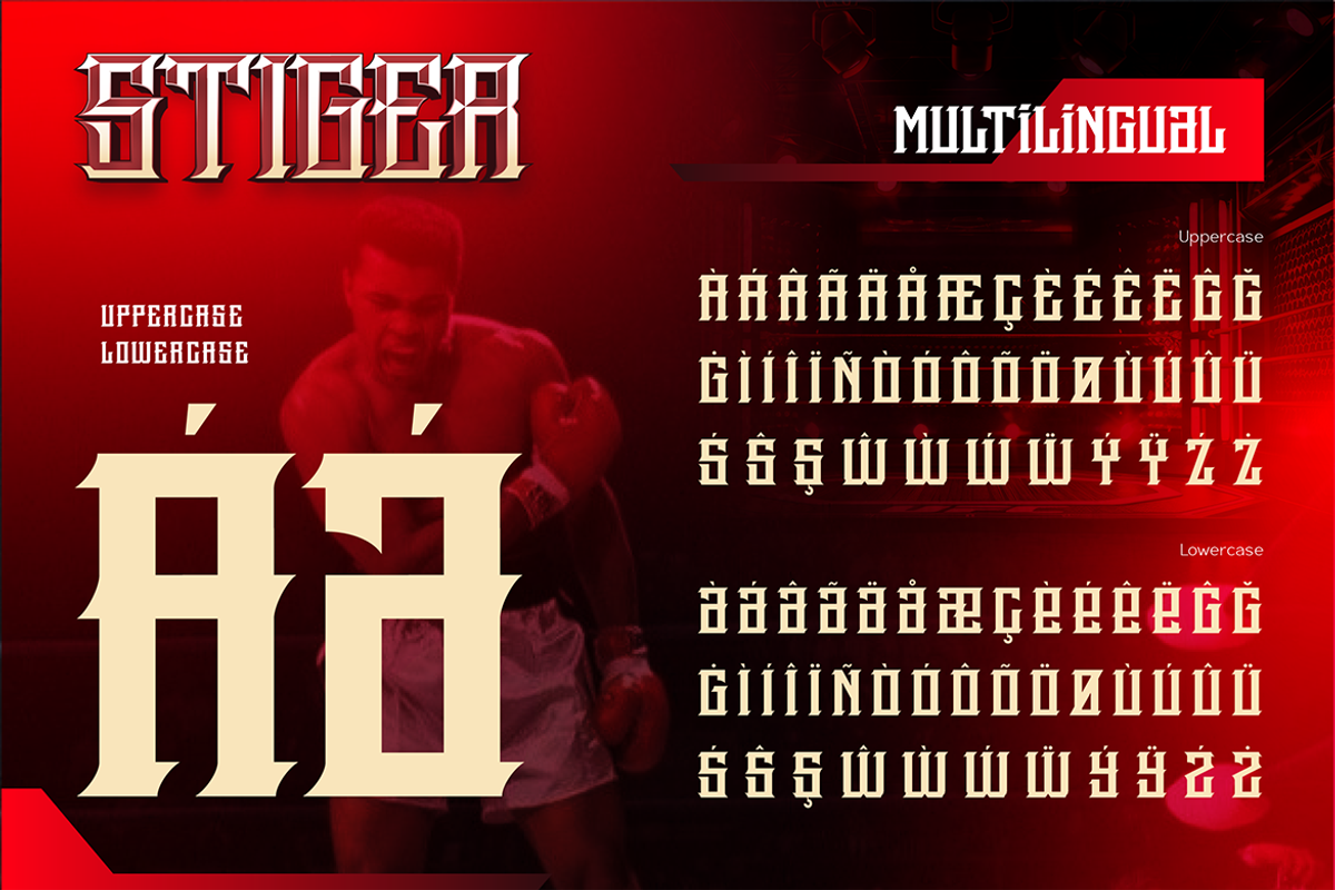 Stiger, a Serif Font by Artisan Themes (Photo 10 of 11)