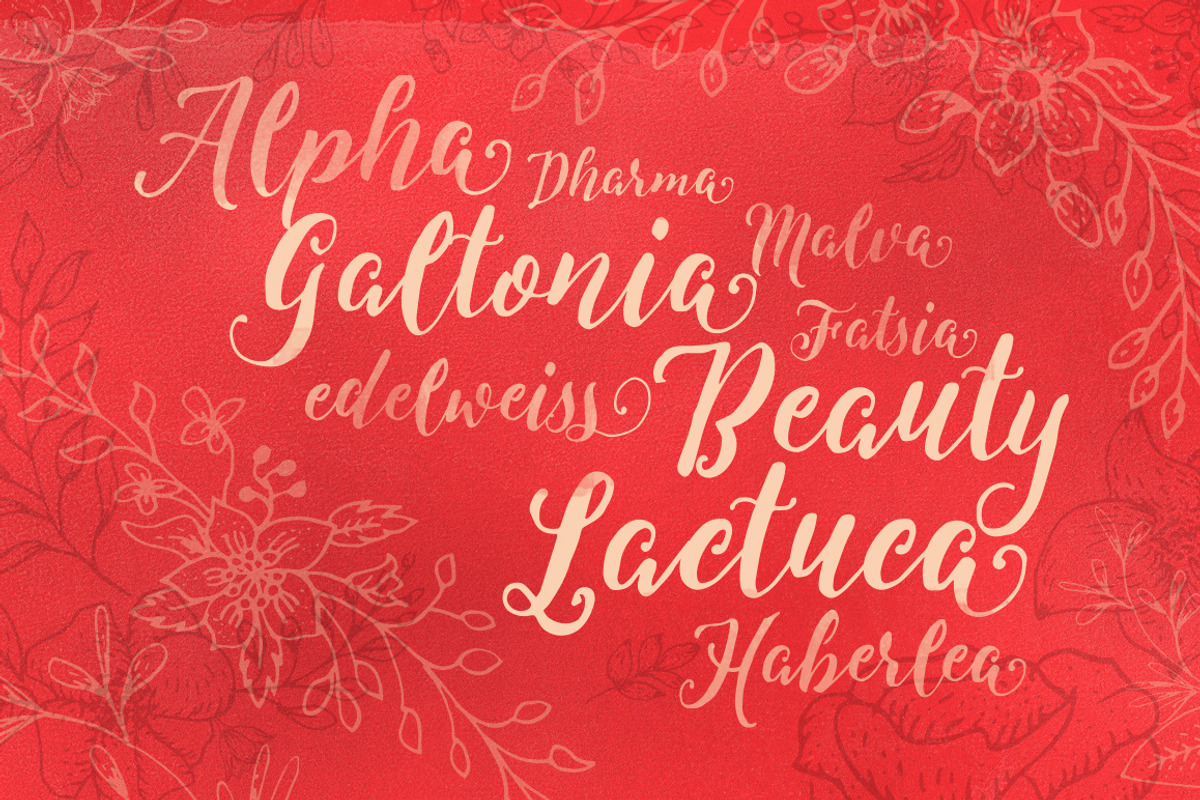 Levitte Script, a Script Font by Flavortype (Photo 4 of 5)