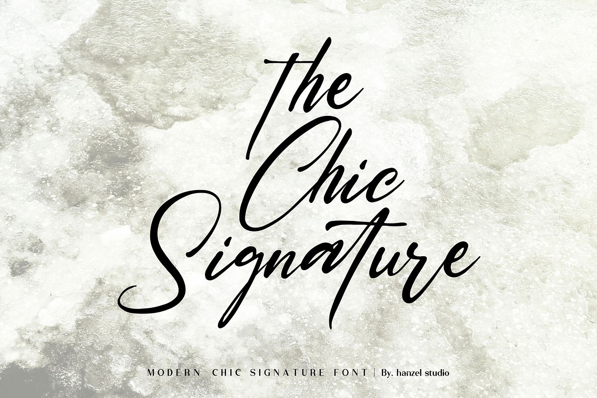 Saltacrus//Chic Signature Font preview 4