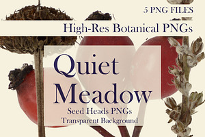 Quiet Meadow — Seed Heads PNGs