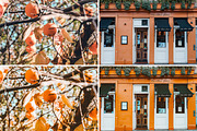 40. Oranges (Tezza Vibes), an Action Add-On by Advina Store (Thumbnail 11 of 13)