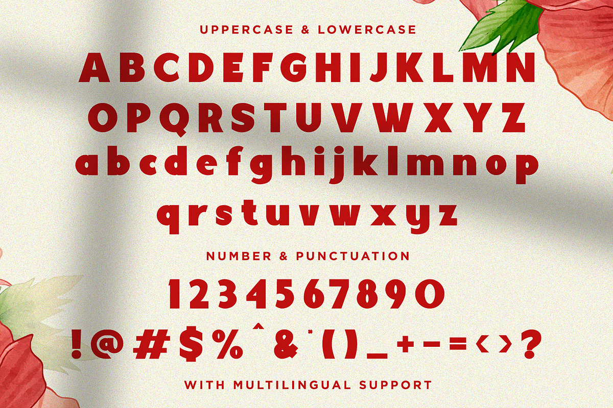 Mayorica - Minimalist Bold Display, a Sans Serif Font by fluffstudio (Photo 9 of 9)