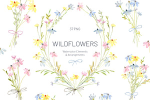 Watercolor Hand-painted Wildflowers