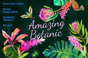 Amazing Botanic