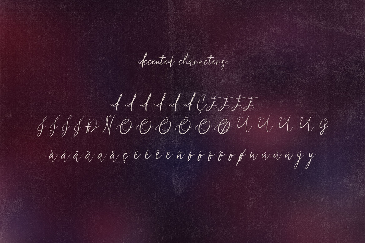 Bistro Signature Script, a Script Font by Deeezy (Photo 5 of 6)