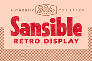 Sansible | Retro Display, a Sans Serif Font by StudioWorks (Thumbnail 1 of 10)