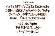 Tiger color font, a Font by Malena (Thumbnail 3 of 7)