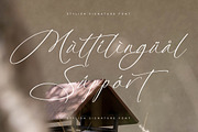 Platimye Stylish Signature Font, a Script Font by Letterena Studios Script (Thumbnail 12 of 15)