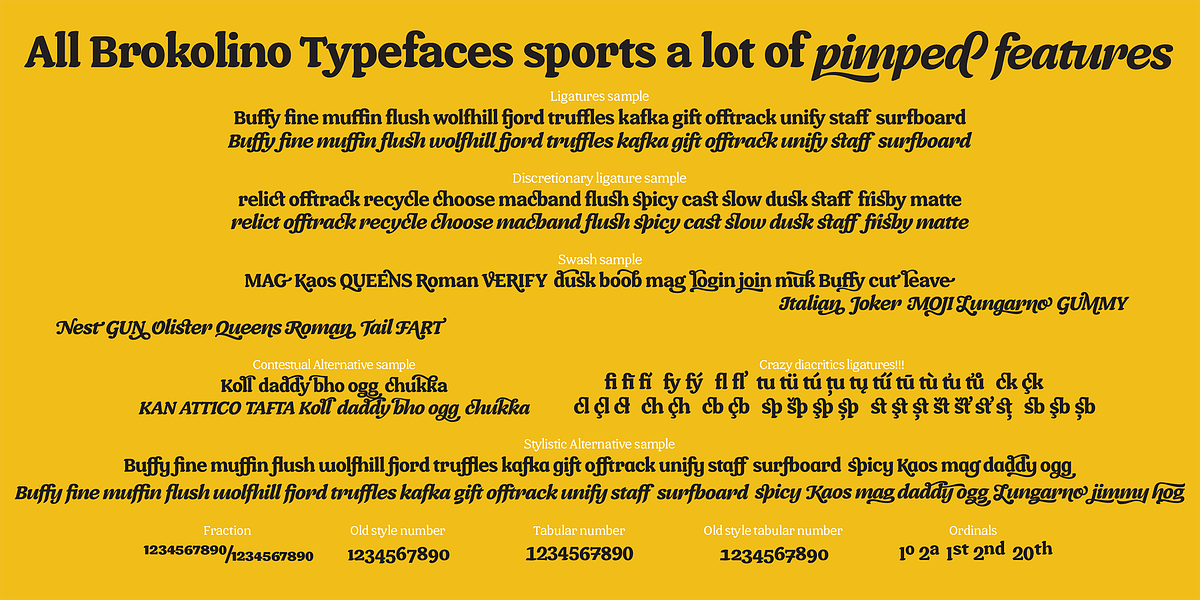 Brokolino Text, a Slab Serif Font by Aspro Type (Photo 11 of 14)