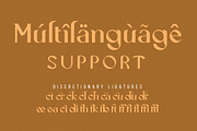 Cecision, a Serif Font by Wangsinawang Studio (Thumbnail 10 of 11)
