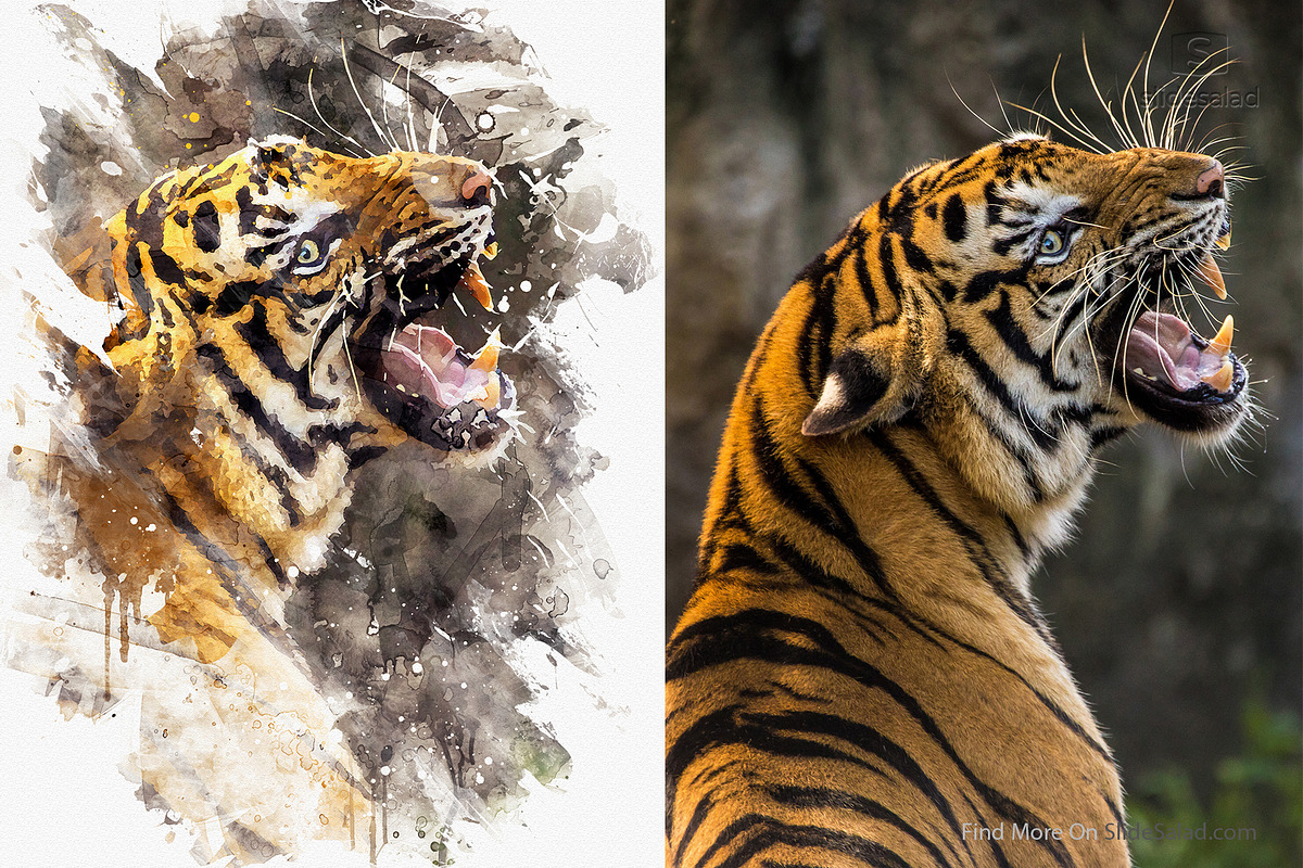 #1 Watercolor Photoshop Mock-ups, an Action Add-On by SlideSalad (Photo 34 of 44)