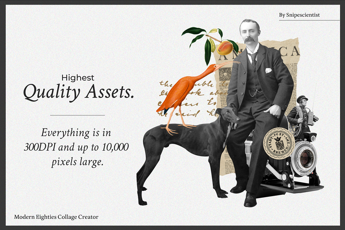 BlackSale! Collage Master Collection, an Object Graphic by SNIPESCIENTIST (Photo 35 of 94)