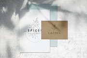 Spices. 30 Premade logos & branches, a Branding & Logo Template by Merfin (Thumbnail 2 of 8)
