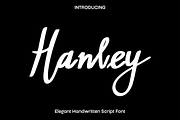 Hanley - Elegant Script Font, a Script Font by Luna Shop (Thumbnail 1 of 7)