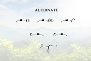 Nature | Script Font, a Handwritten Font by Scratchones (Thumbnail 8 of 9)