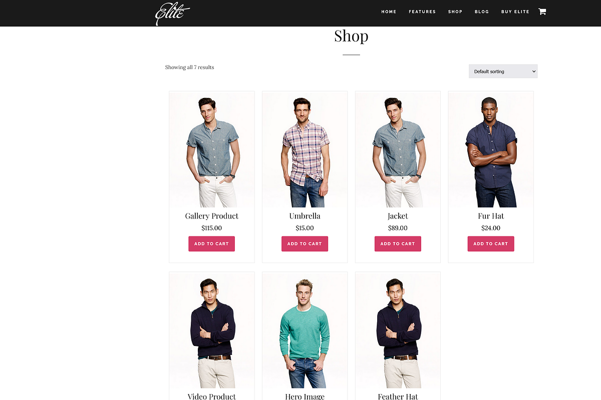 Elite Business/WooCommerce WP Theme, a WordPress Template by Organized Themes (Photo 7 of 12)