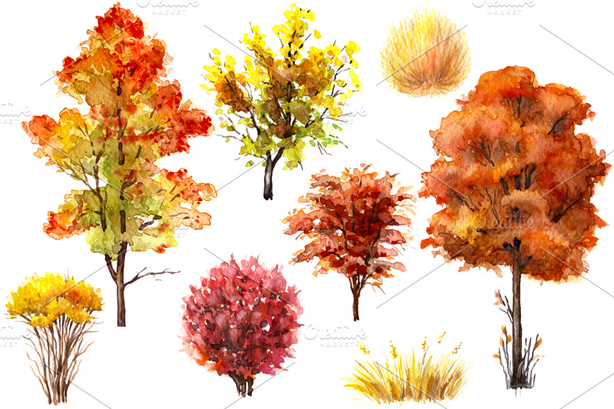 Watercolor  Trees and Bushes, a Decorative Illustration by Valentyna Smordova (Photo 4 of 6)