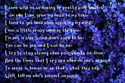Comensara Font For Book and Poem, a Sans Serif Font by NadaNora (Thumbnail 3 of 4)