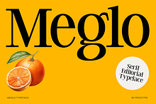 Meglo - Elegant Modern Serif Font