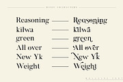Molagane | Fancy Serif Typeface, a Serif Font by Qaratype (Thumbnail 9 of 26)