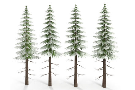 Canadian Spruce Tree Snow V3