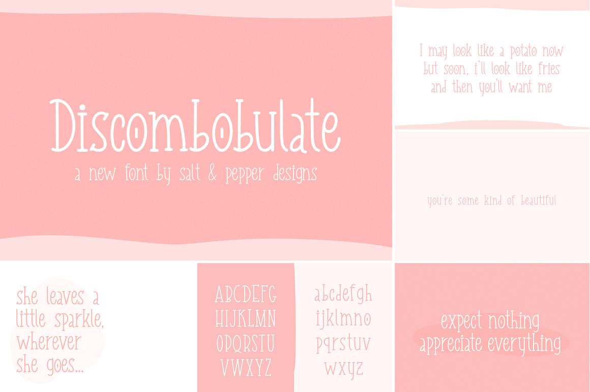 The HUGE Font Bundle (98% OFF) SALE, a Sans Serif Font by Salt & Pepper Designs (Photo 130 of 185)