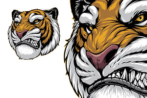 Ferocious tiger roars