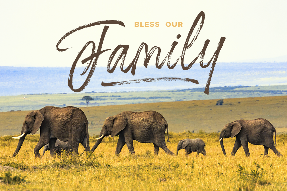Prayerd - Brush Calligraphy Font preview 5