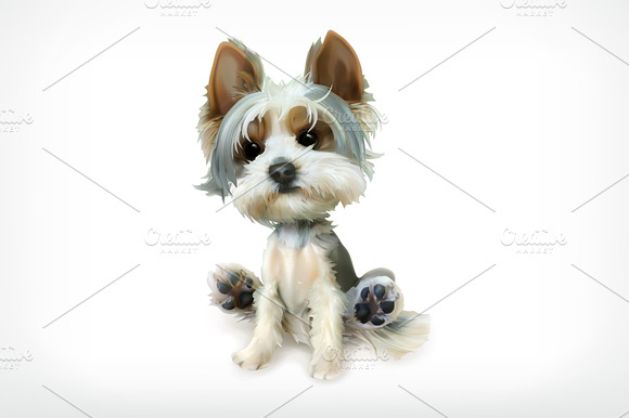 Dog Cute Funny Little Puppy Vector