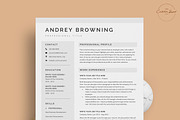 Resume/CV - The Andrey, a Resume Template by CreativeLandStudio (Thumbnail 2 of 8)