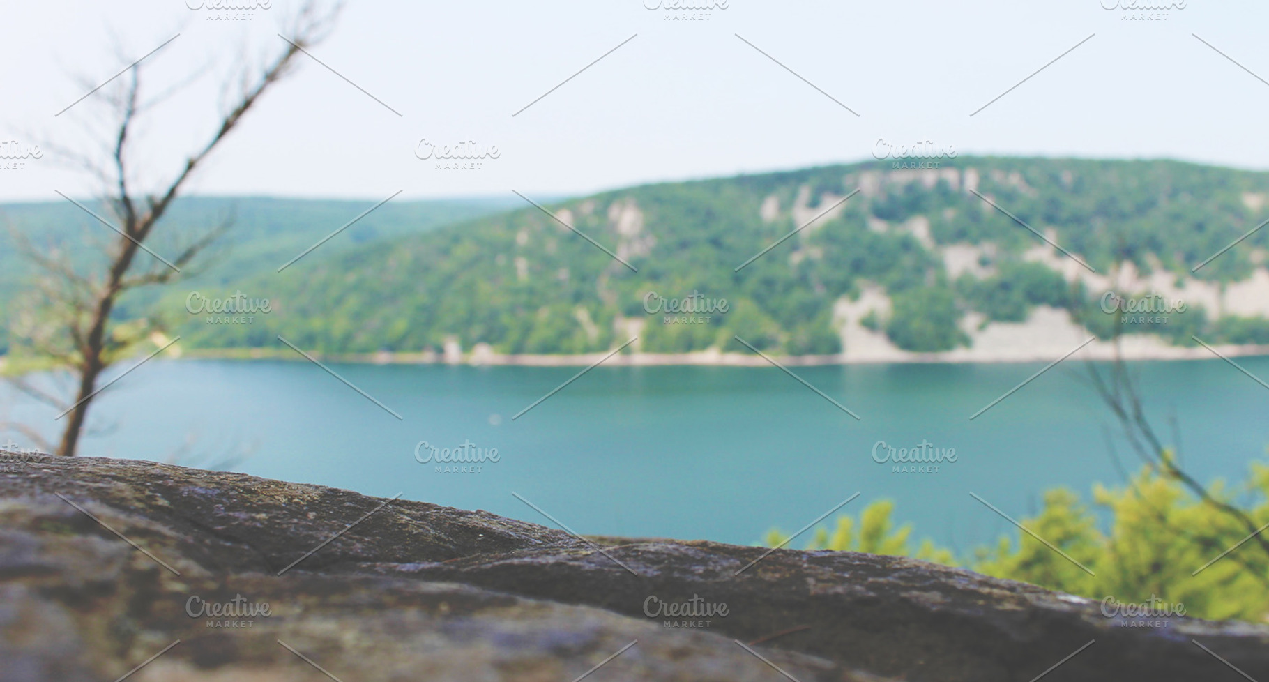 Lake View Containing Lake Water And Summer