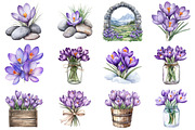Watercolor Crocuses Flowers ClipArt, an Illustration by CitraGraphics (Thumbnail 2 of 4)