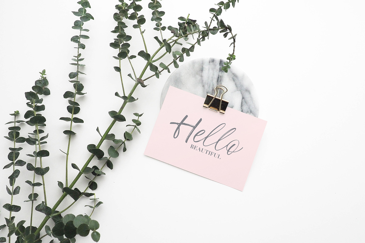 Frideswide Script, a Script Font by Asya Mix (Photo 10 of 13)