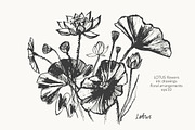Lotus floral set, a Decorative Illustration by katya.bogina (Thumbnail 1 of 5)
