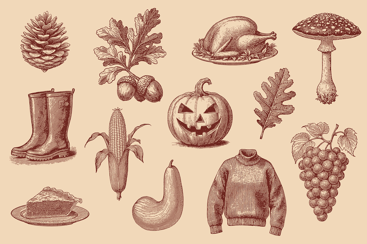Vintage Autumn Illustrations, a Seasonal Illustration by Graphic Goods (Photo 5 of 8)