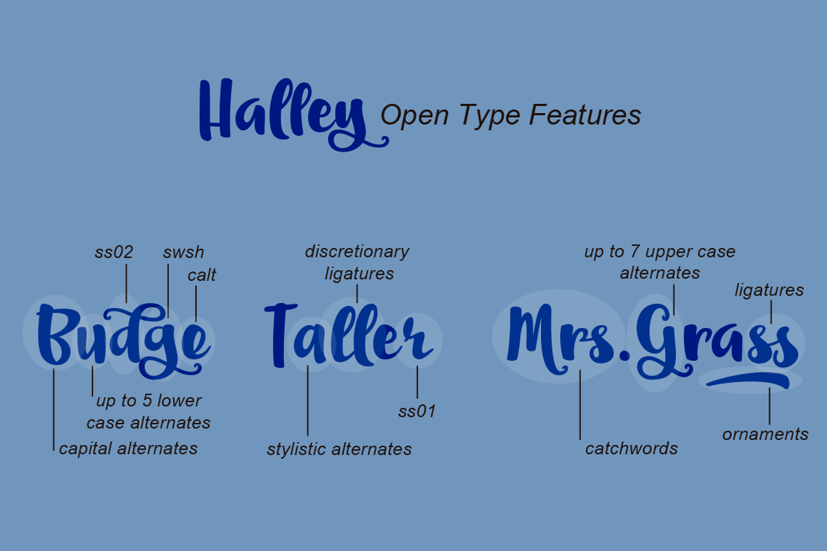 Halley preview 2