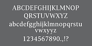 Haggard Nova, a Serif Font by TipografiaRamis (Thumbnail 3 of 9)