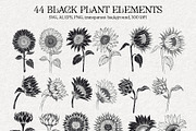 SUNFLOWERS watercolor elements, an Illustration by Elena_Sedova (Thumbnail 8 of 14)
