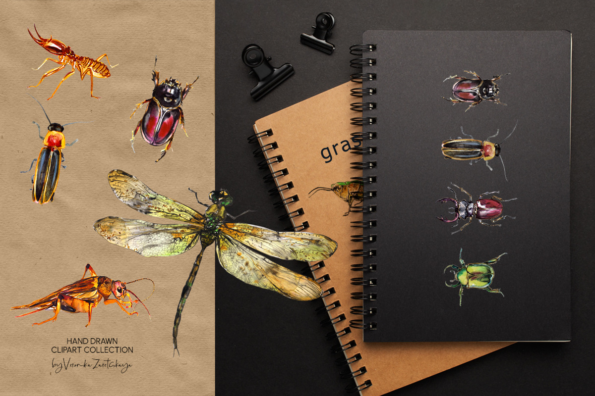 Insects and bugs watercolor clipart, an Object Graphic by ArtSpotVeronika (Photo 4 of 11)