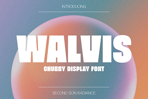 SS Walvis - Chubby Display Sans