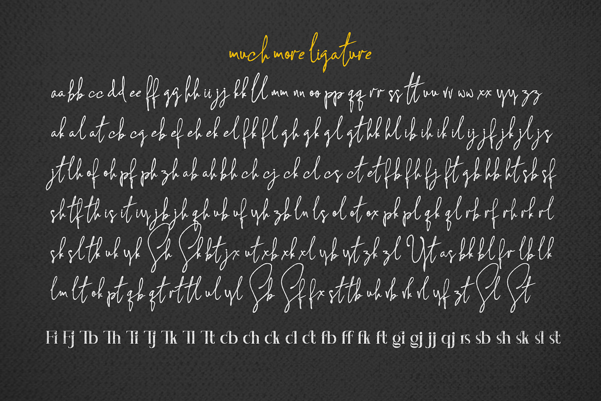 Concetta Kalvani / Signature & Serif, a Script Font by madeDeduk (Photo 13 of 14)