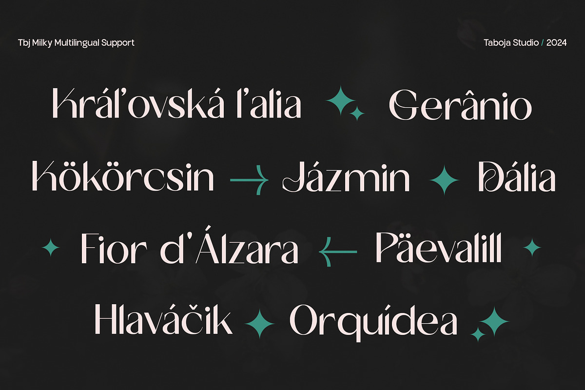 TBJ Milky – 8 Styles Boldly Sans, a Sans Serif Font by Taboja Studio (Photo 15 of 18)