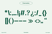 Amerta Elegant Serif Font, a Serif Font by GRVS Studio (Thumbnail 5 of 7)