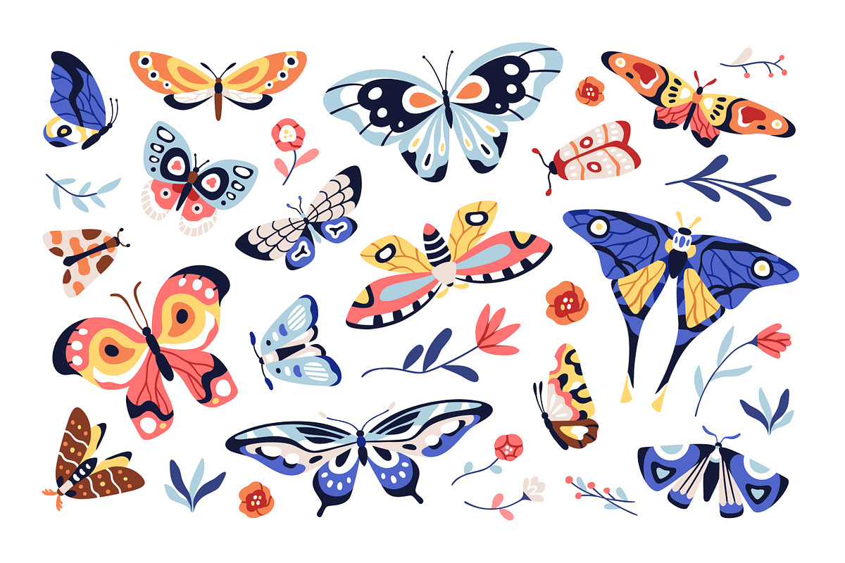 Pretty exotic butterflies, moths set, an Animal Illustration by Good Studio (Photo 3 of 7)