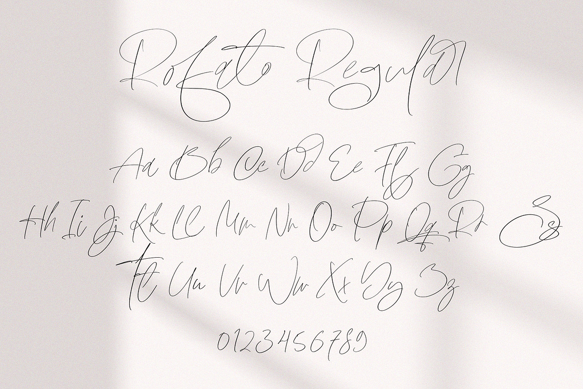 Rofato, a Script Font by Papermode Co. (Photo 8 of 9)