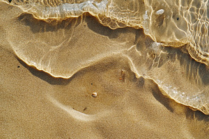 Close up view of wet beach sand, a Photo by Pavel_design